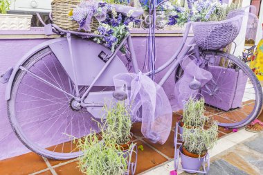 Hayır romantik, Marbella, sokaklarda hipster vintage bisiklet bir