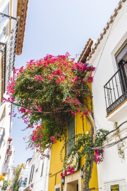 Dar sokaklarda çiçek Balkonlu