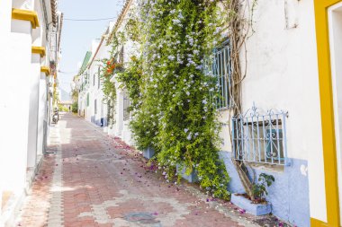 Endülüs sokakları ve çiçekli balkon