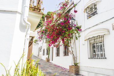 Dar sokaklarda çiçek Balkonlu