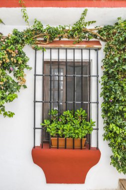 Geleneksel Endülüs sokakları çiçekli