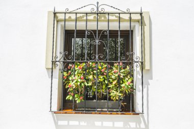 Geleneksel Endülüs sokakları çiçekli