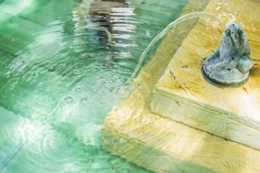kurbağaların Marbella Andalucia İspanya bronz fıskiye