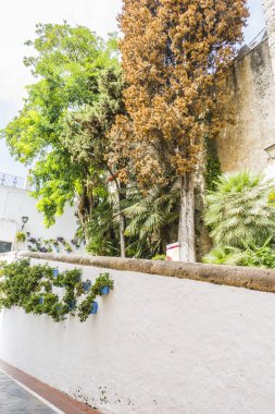 Mimari ve sokakları çiçekli