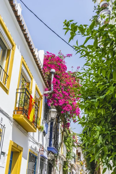 Residentiële gebouwen met bloemen — Stockfoto