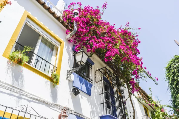 Tradiční andaluské ulice s květinami — Stock fotografie