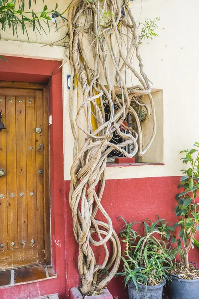 Traditional Andalusian streets with flowers — Stock Photo, Image