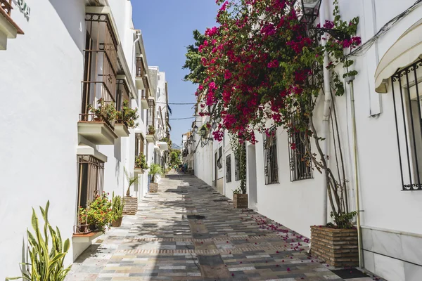 Andalusian streets and balconies with flowers — Stock Photo, Image