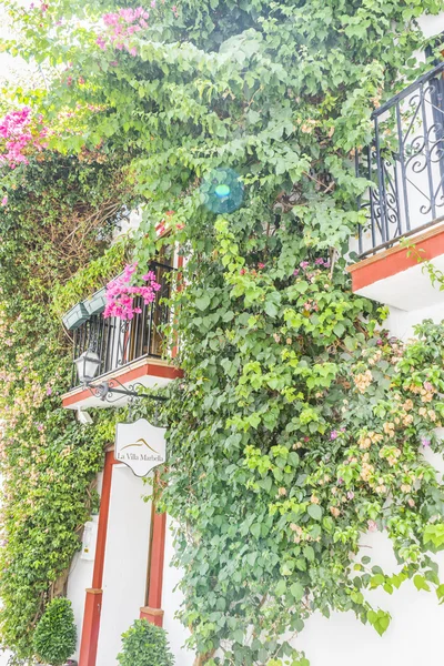 Tradycyjne andaluzyjskie ulice z kwiatami — Zdjęcie stockowe