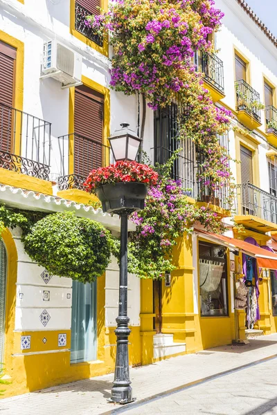 Strade tradizionali andaluse con fiori — Foto Stock