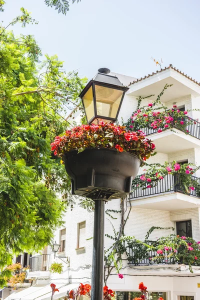 Tradycyjne andaluzyjskie ulice z kwiatami — Zdjęcie stockowe