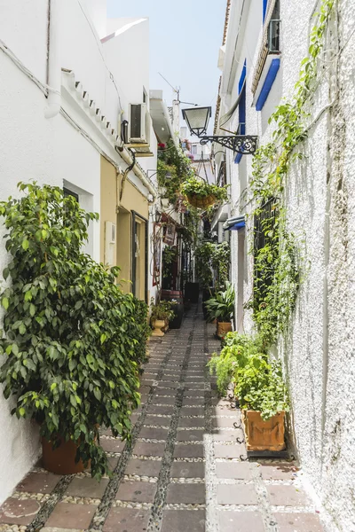 Strade tradizionali andaluse con fiori — Foto Stock