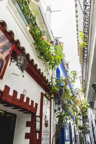 Ruas andaluzas tradicionais com flores — Fotografia de Stock