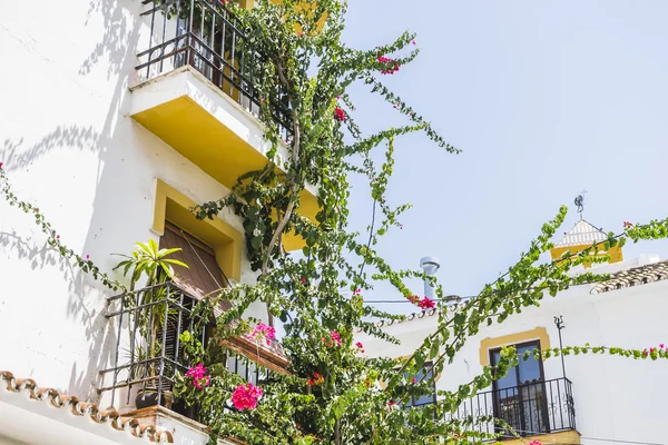 Strade tradizionali andaluse con fiori — Foto Stock