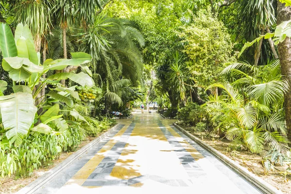 Jardins de verão exuberantes em Marbella — Fotografia de Stock