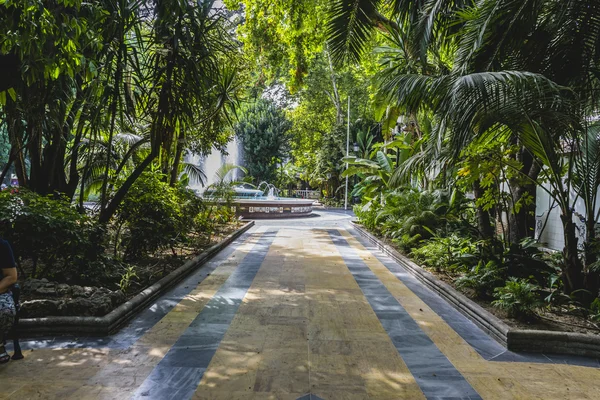 Jardins de verão exuberantes em Marbella — Fotografia de Stock