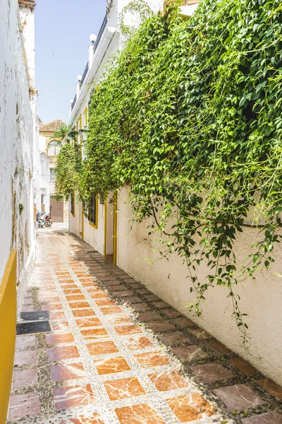 Smala gator med blommig balkonger — Stockfoto