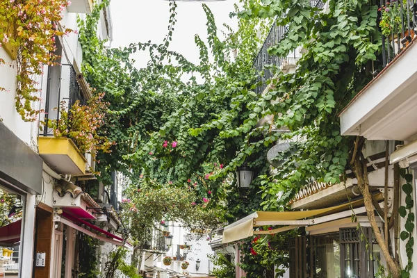 Traditionelle andalusische Straßen mit Blumen — Stockfoto