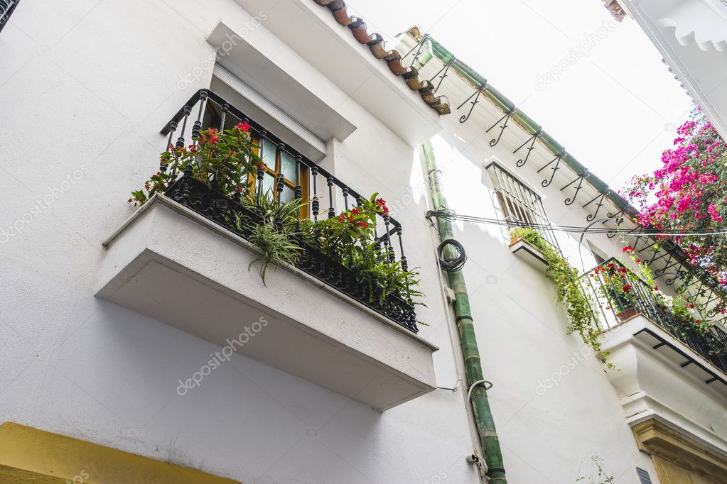 Residential buildings with flowers