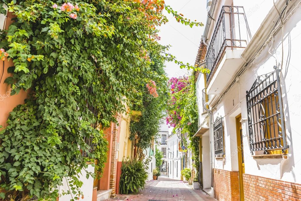 Narrow streets with floral balconies