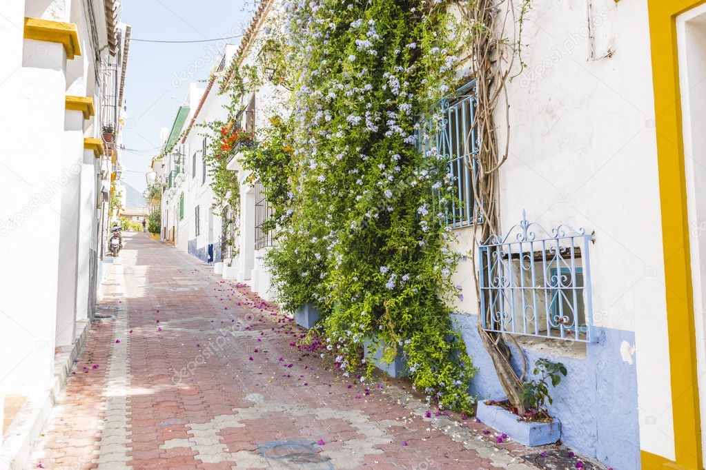 Andalusian streets and balconies with flowers