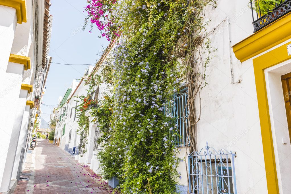 NO    typical Andalusian streets and balconies with flowers in Marbell