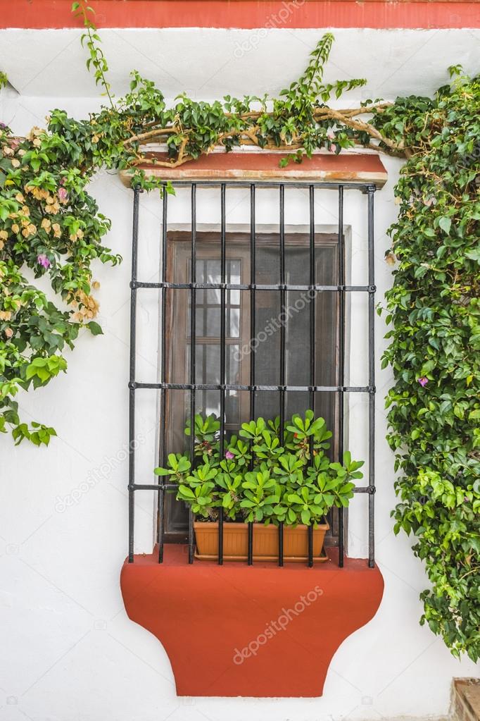 Traditional Andalusian streets with flowers