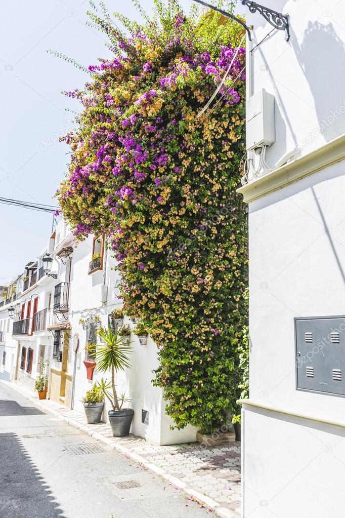 Narrow streets with floral balconies