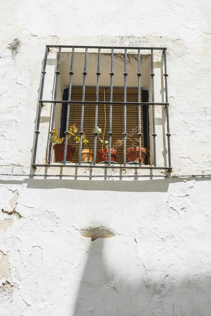 Traditional Andalusian streets with flowers