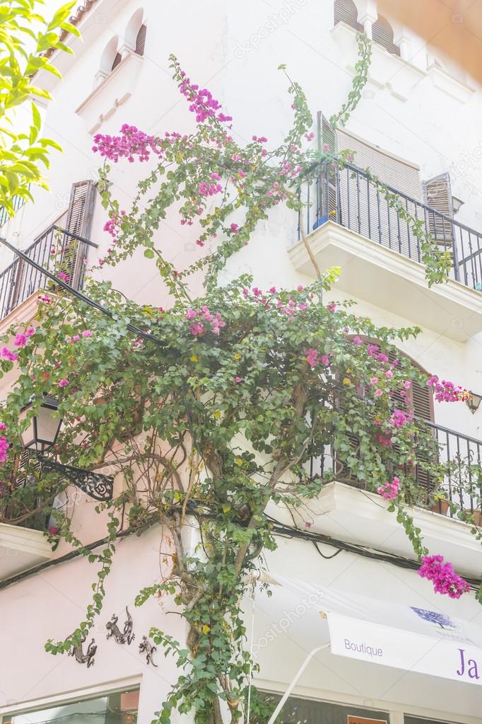 Traditional Andalusian streets with flowers