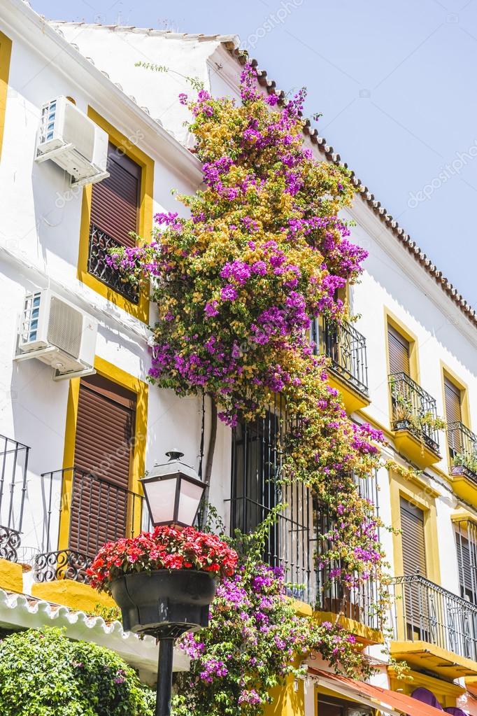 Traditional Andalusian streets with flowers