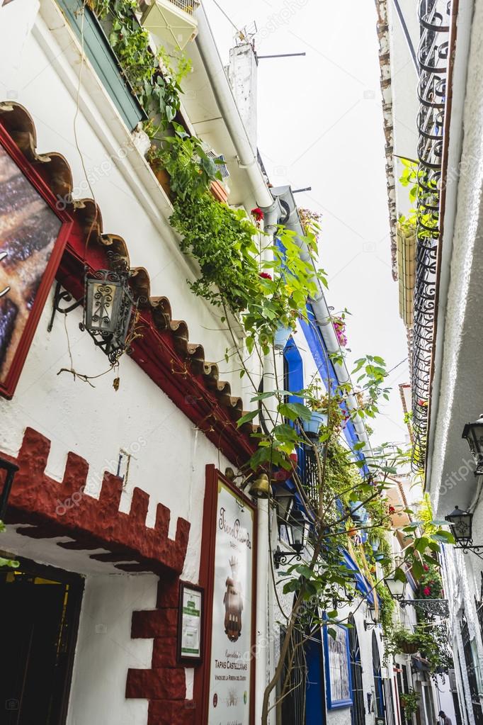 Traditional Andalusian streets with flowers