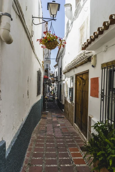 Edifícios residenciais com flores — Fotografia de Stock