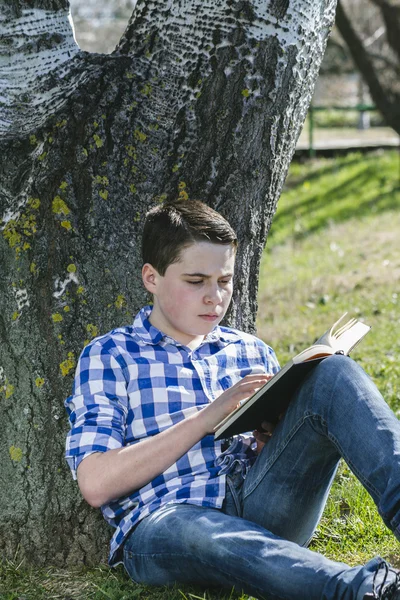 Dreng læser en bog - Stock-foto