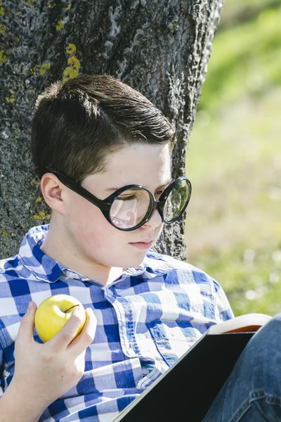 Boy  reading a book — Stock Photo, Image