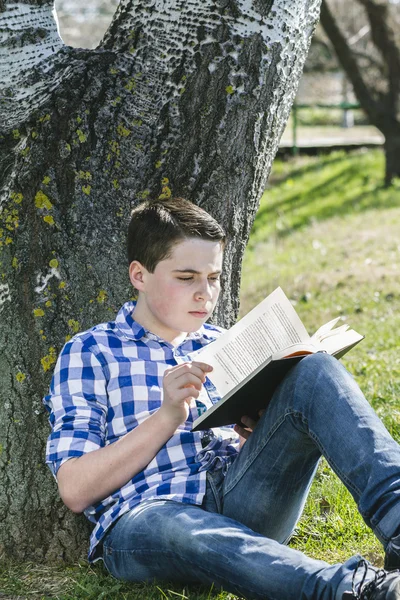 Menino lendo um livro — Fotografia de Stock