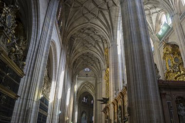 bir Segovia Gotik katedral iç