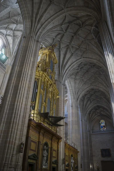 Bir Segovia Gotik katedral iç — Stok fotoğraf