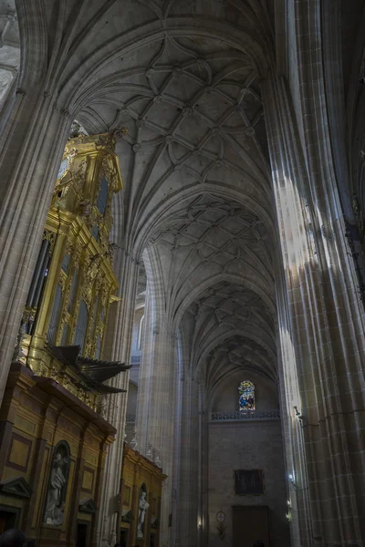 Bir Segovia Gotik katedral iç — Stok fotoğraf