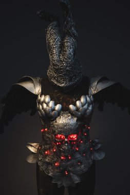 kafatası ile gümüş zırh