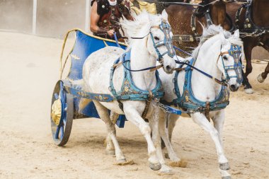 Gladyatör mücadele Roma savaş arabası