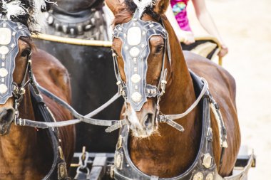 Gladyatör mücadele Roma savaş arabası