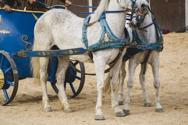 Roman chariot on gladiators fight — Stock Photo, Image