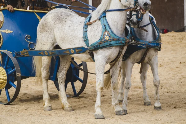 Romeinse strijdwagen over gladiatoren strijd — Stockfoto