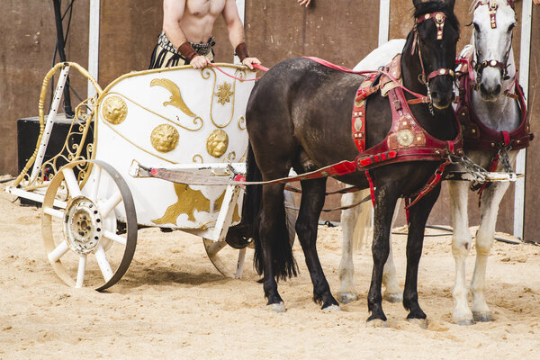 Roman chariot on gladiators fight