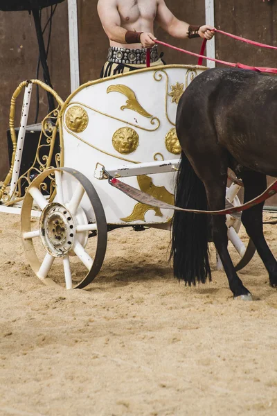 Muscoli, carro romano in una lotta di gladiatori, circo insanguinato — Foto Stock