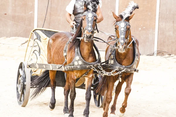 Roman chariot on gladiators fight — Stock Photo, Image