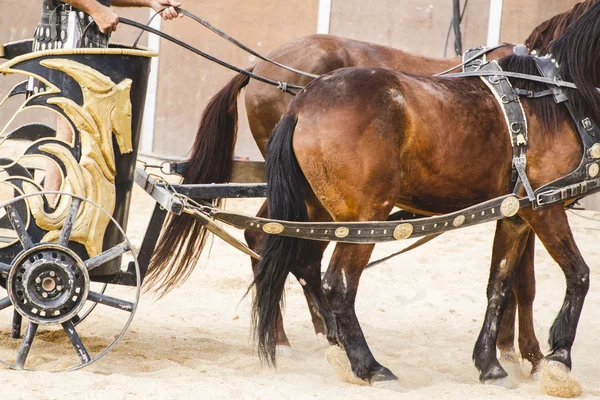 Carruagem romana em gladiadores luta — Fotografia de Stock