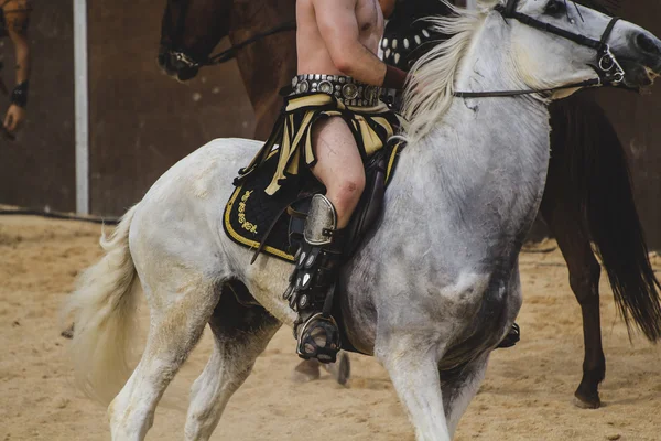 Hombre librando hermoso caballo blanco — Foto de Stock