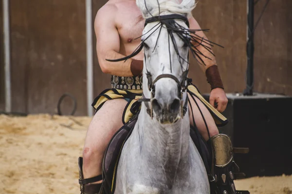 Hombre librando hermoso caballo blanco — Foto de Stock